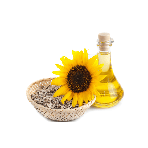 Sunflower Oil