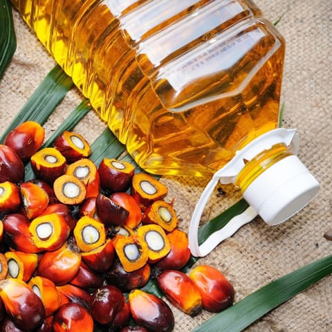 Palm Oil